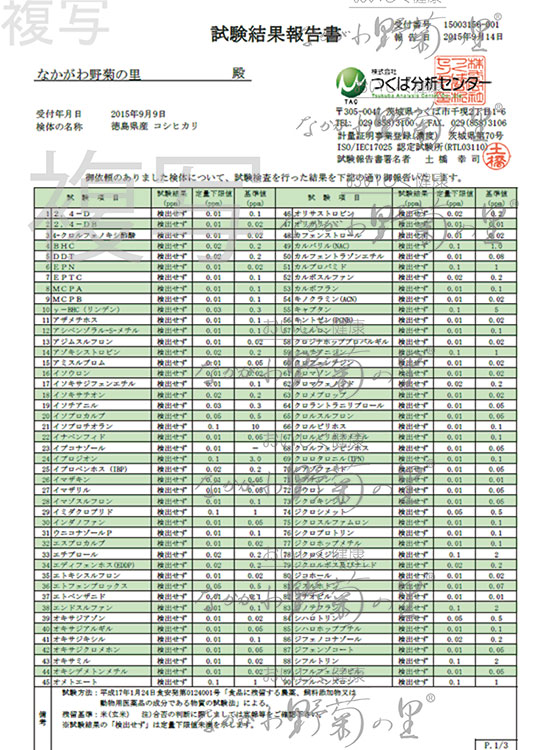 平成27年コシヒカリ検査２